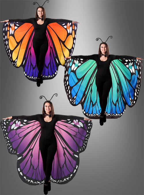Butterfly wings adults