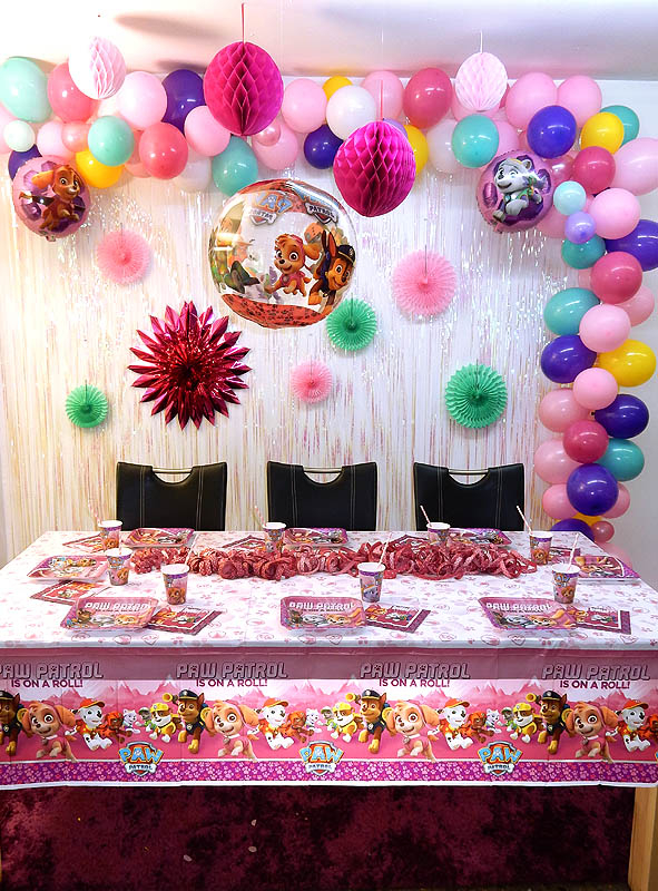 Paw Patrol Party XXL Decoration for Girls 164 pcs