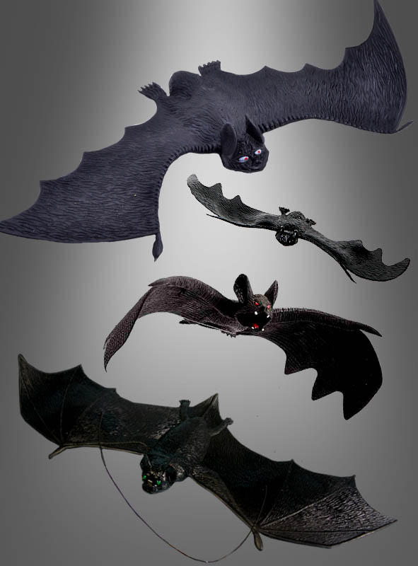 Halloween Bat different Versions