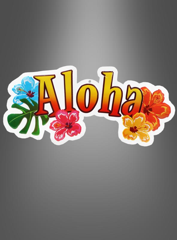 Hawaii Banner Aloha