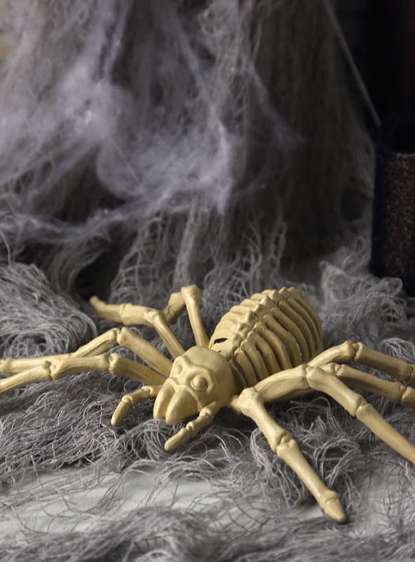 Skeleton Spider Halloween Decoration