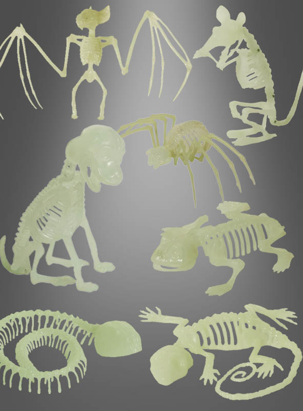 Skeleton animals Halloween glow in the dark