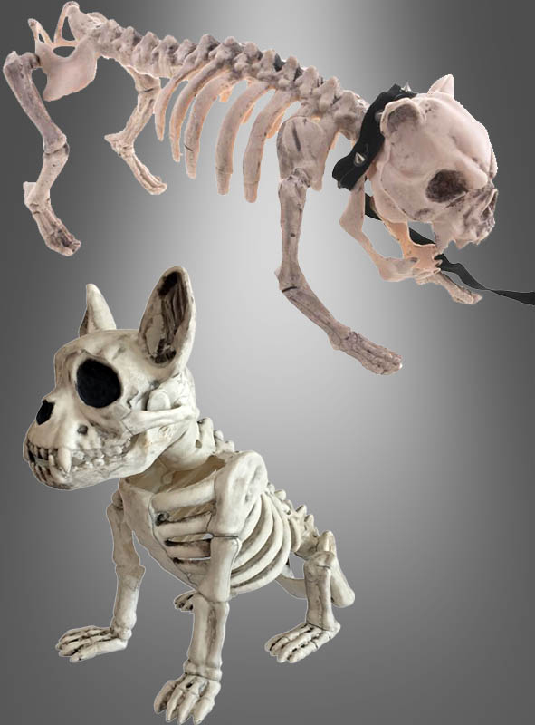 Skelett Hund Halloween Deko lebensgroß » Kostümpalast