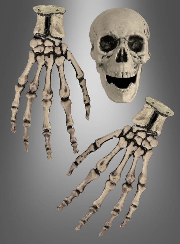 Skelett Hände und Totenkopf Schädel Set