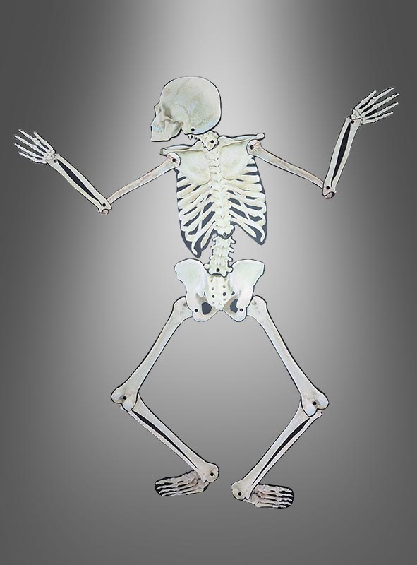 Skeleton Wall Decoration 158cm