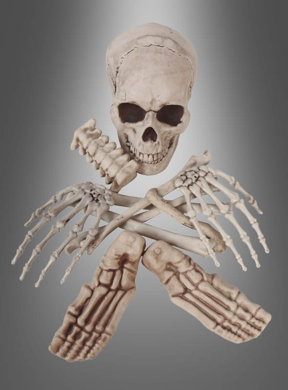 Deko-Totenkopf Toten-Schädel Halloween Dekoration Skull Bones Karneval Fasching 