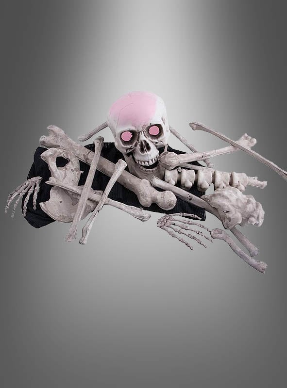 Menschliche Skelett Knochen Set mit LED Schädel kaufen!