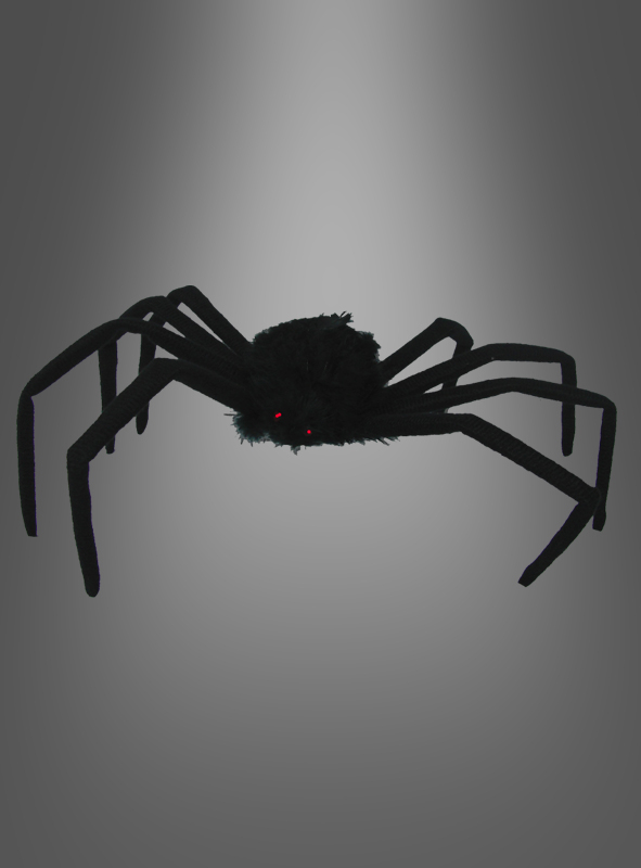Schwarze Spinne 50cm