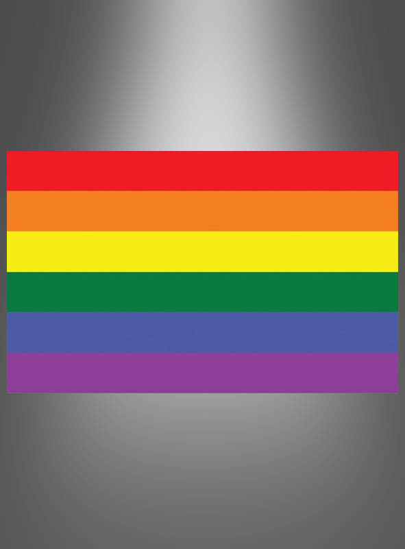 Große Regenbogen Fahne 90x150cm