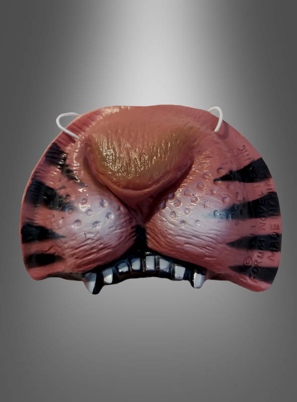 Tiger nose