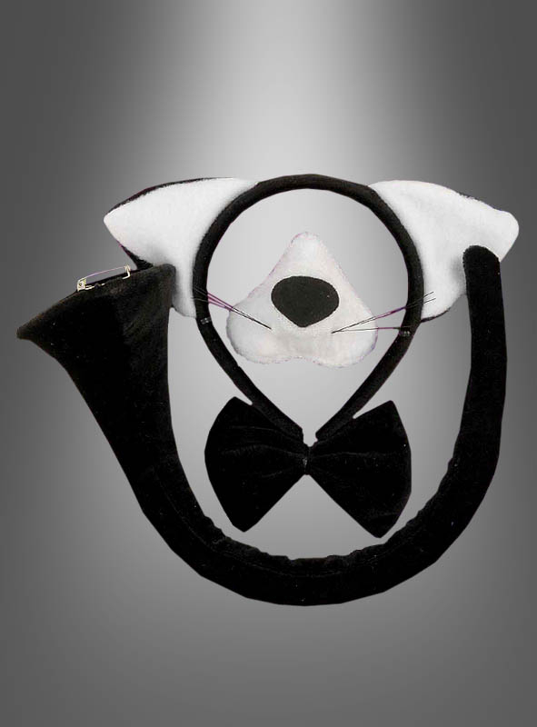 Cat set with sound