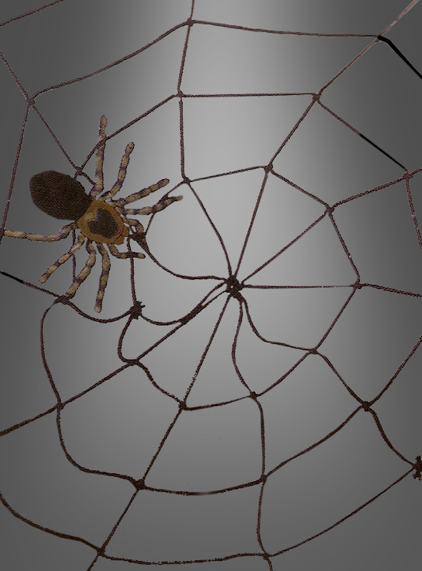 Spinnennetz und Spinnen für Halloween