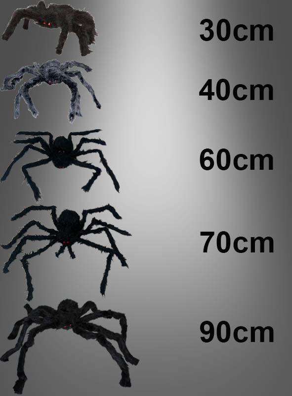Giant Hairy Spider 45-90 cm