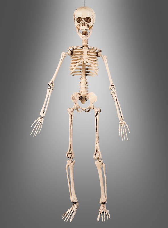 Movable Skeleton Decoration 50 cm