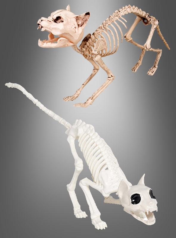 Halloween Skeleton Cat lifesize