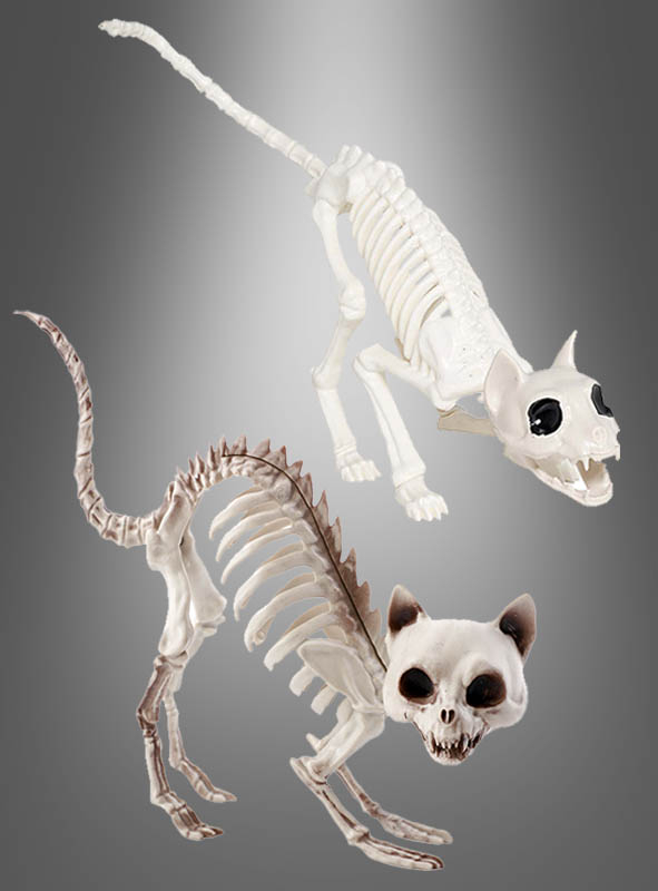 Skeleton Cat lifesize Halloween
