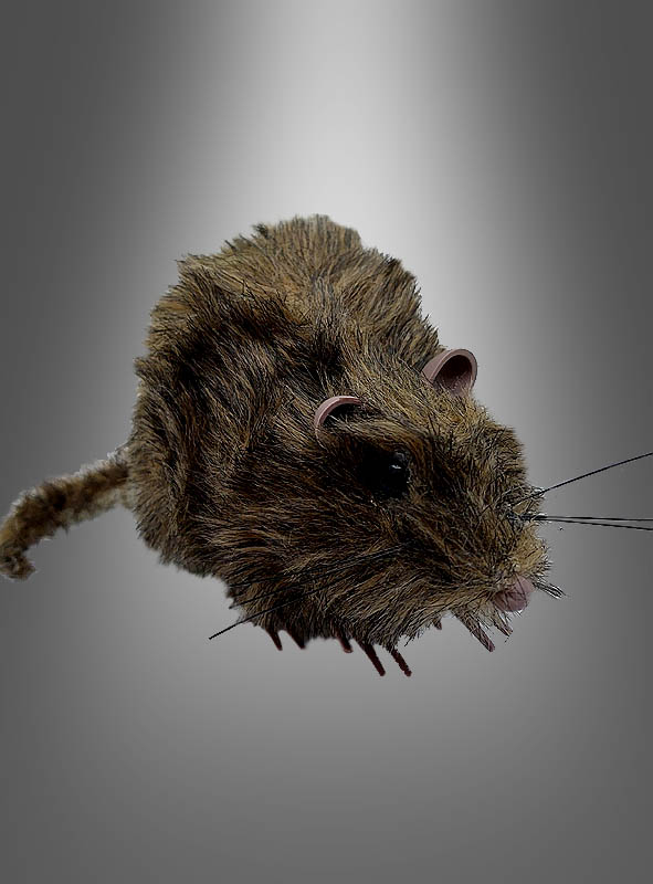 Pelzige Lebensechte Ratte