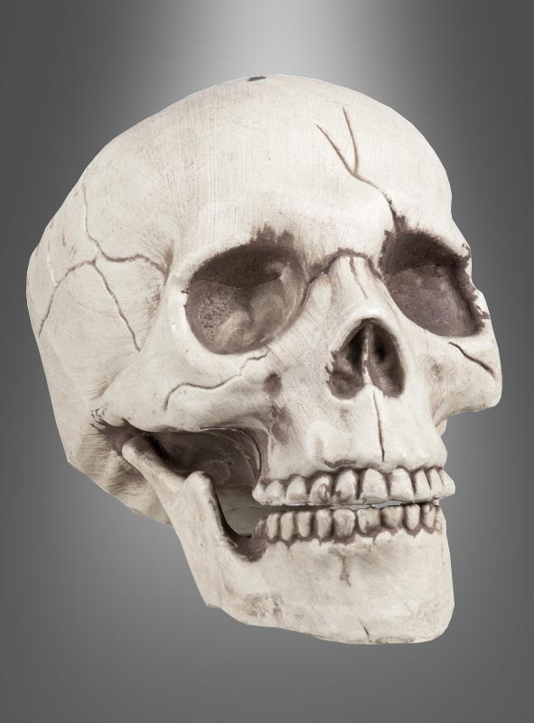 Moving mouth skull