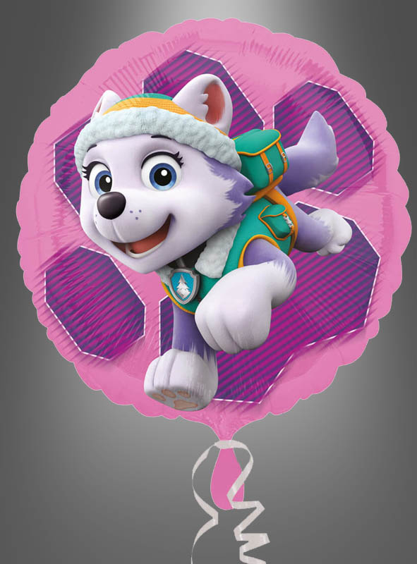 Paw Patrol Skye & Everest Folienballon 43 cm