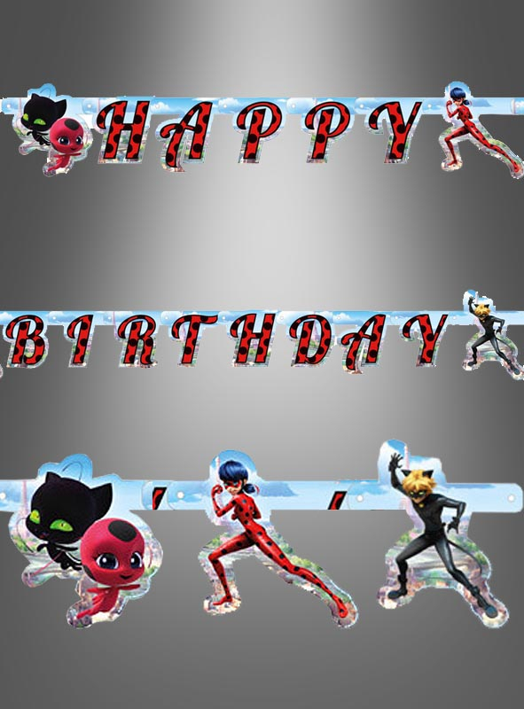 Ladybug Birthday Banner2m