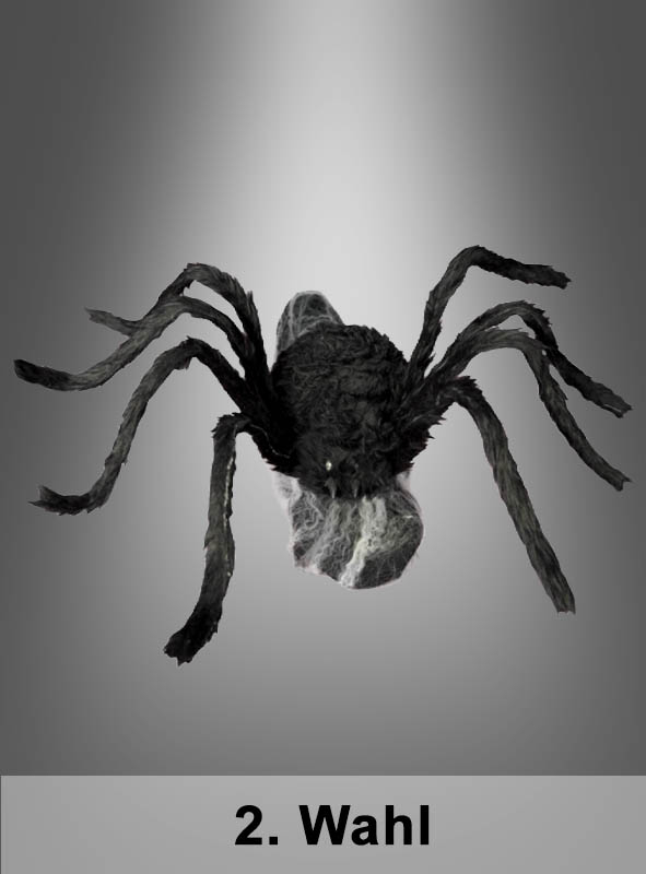 Springende Spinne 70x50cm animiert
