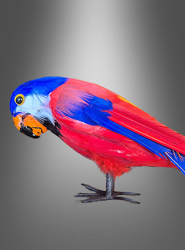 Parrot Decoration 35cm 
