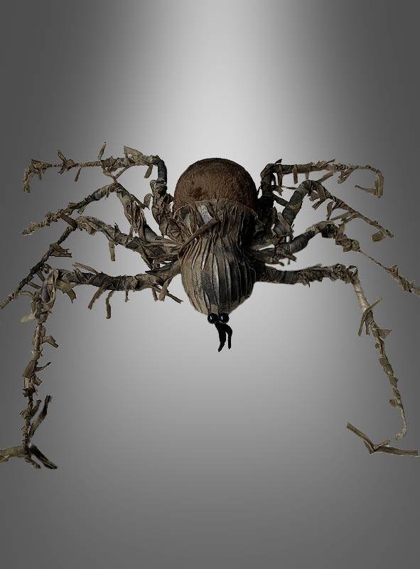 Brown Giant Spider 60cm 