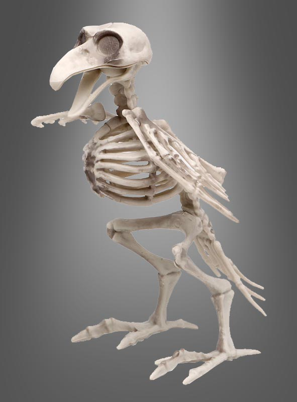 Deko Vogelskelett Halloween Skelett Vogel Knochen Dekofigur Rabe Halloweendeko 