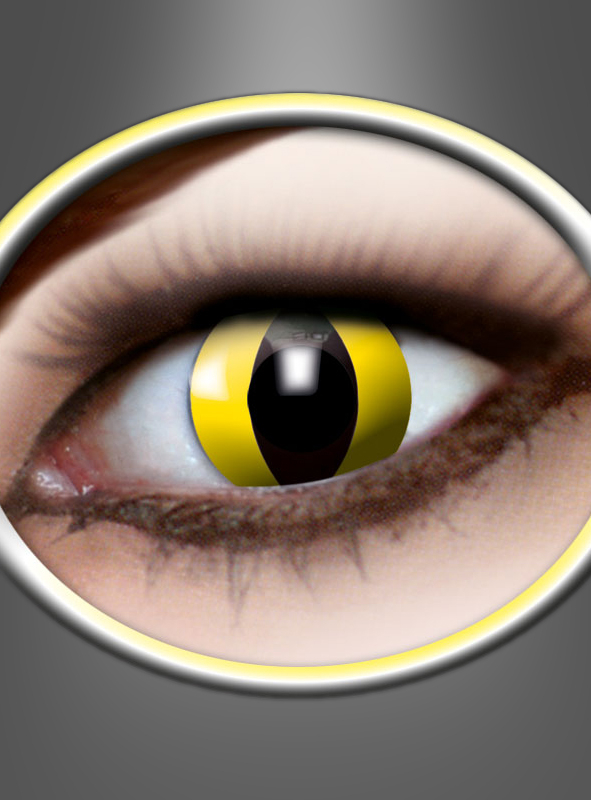 3 Month Contact Lenses Yellow Cat 