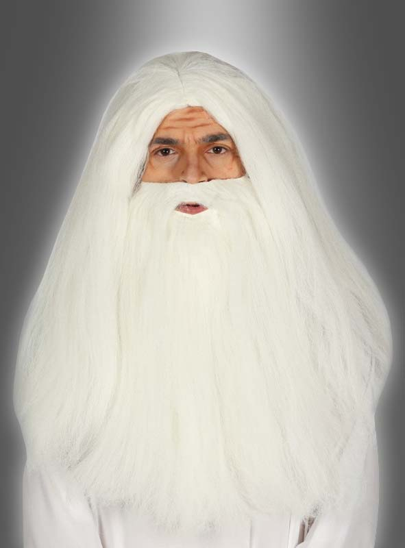 Merlin Perücke und Bart Set 