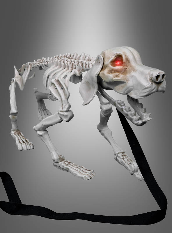 Barking Dog Skeleton 32cm Halloween 