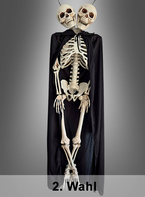 2. Wahl Skeleton 153cm with two Heads 