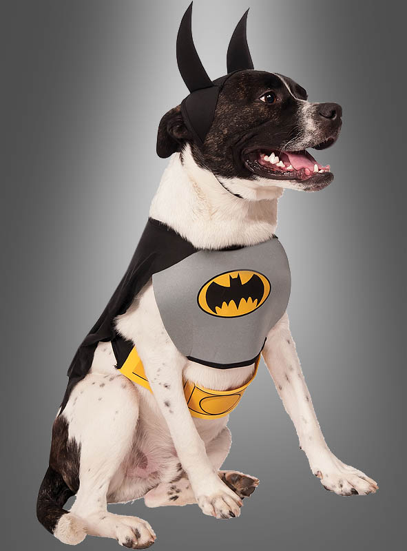 Batman Hundekostüm bei Kostümpalast.de