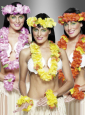 Hawaiian Flower Set 