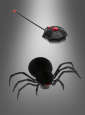 Remote Controlled Black Spider 