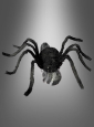 Springende Spinne 70x50cm animiert 