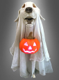 Ghost Dog 55cm with LED Light 
