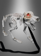 Bellendes Hunde Skelett 32cm Halloween 