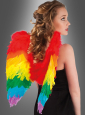 Rainbow Wings 