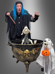 Product image 2 of the product “Giant Witch Cauldron black-golden ”