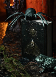 Artikelbild 2 des Artikels “Spinne Halloween 23cm grün irisierend “