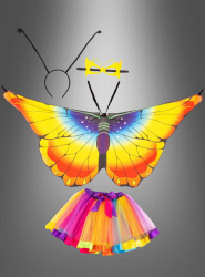 Product image 2 of the product “Butterfly Wings Disguise Set 4 Parts Colorful 116-134”
