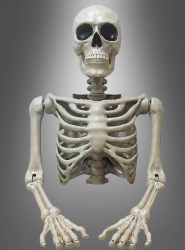 Product image 2 of the product “Life-size Skeleton Torso Halloween 104cm ”