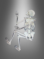 Product image 2 of the product “Skeleton Wall Decoration 158cm ”