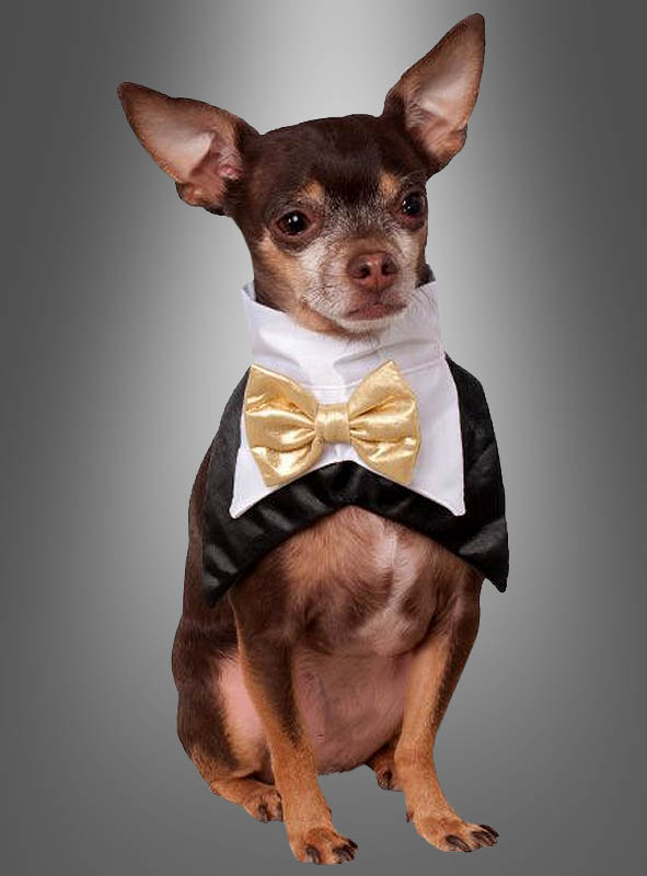 Halstuch für Hunde bei Kostümpalast.de