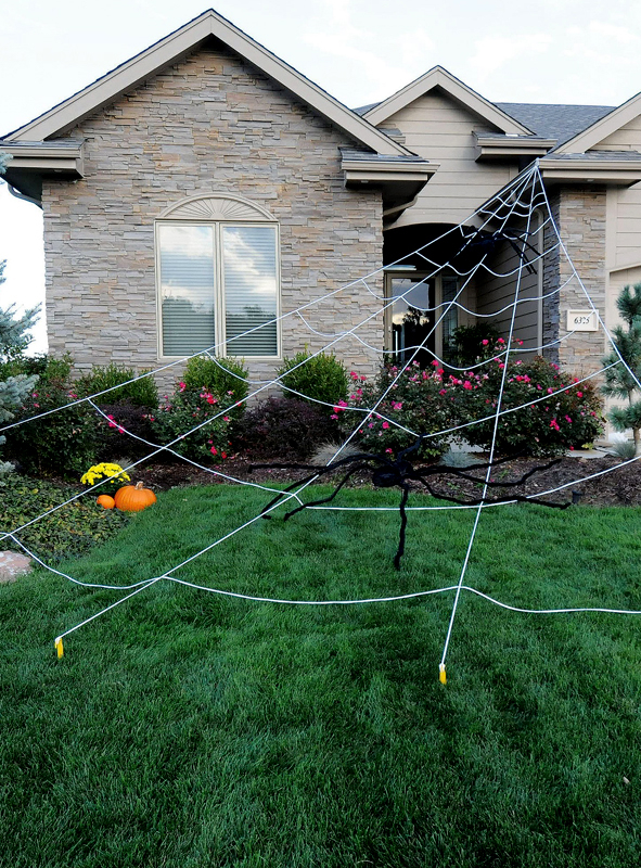 Giant mega spider web 5 meter 