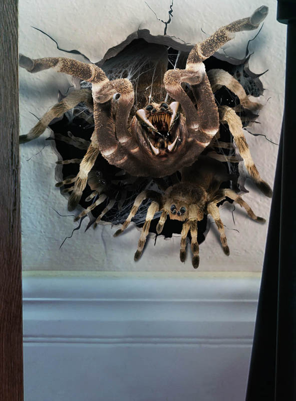 Wandaufkleber Halloween Deko Spinne oder Auge 