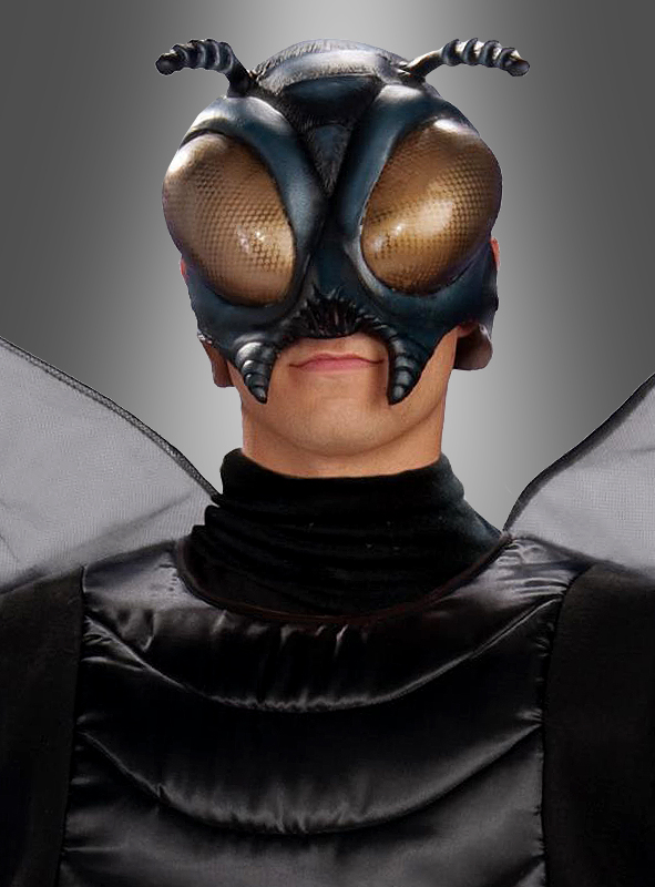 Fly costume Adult