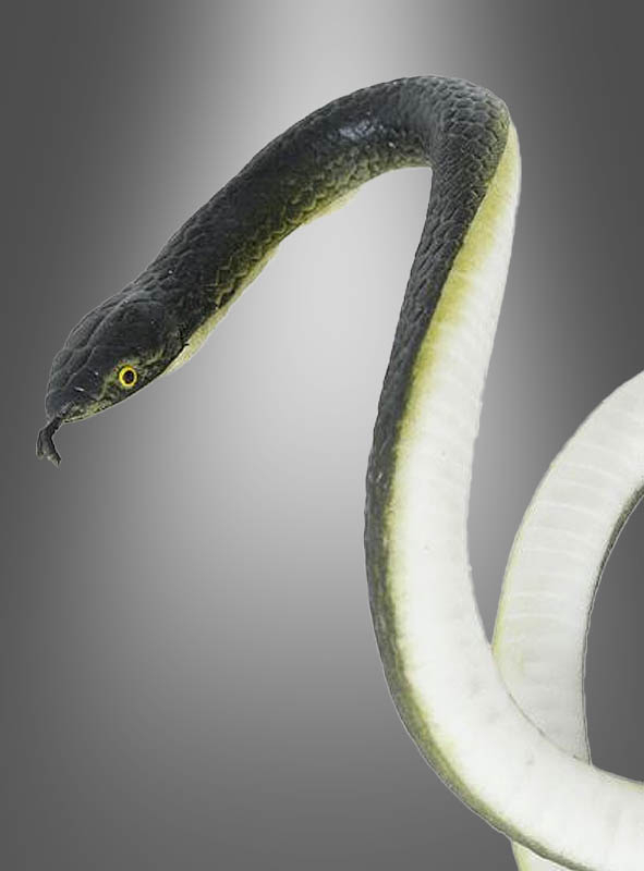 Schwarze  Schlange 80 cm 