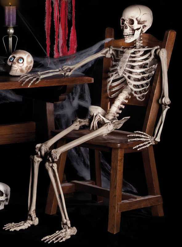 Life-Size Human Skeleton 160cm 